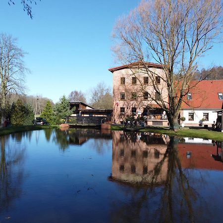 Stary Mlyn W Brzeznicy Villa Brzeznica  Exterior photo