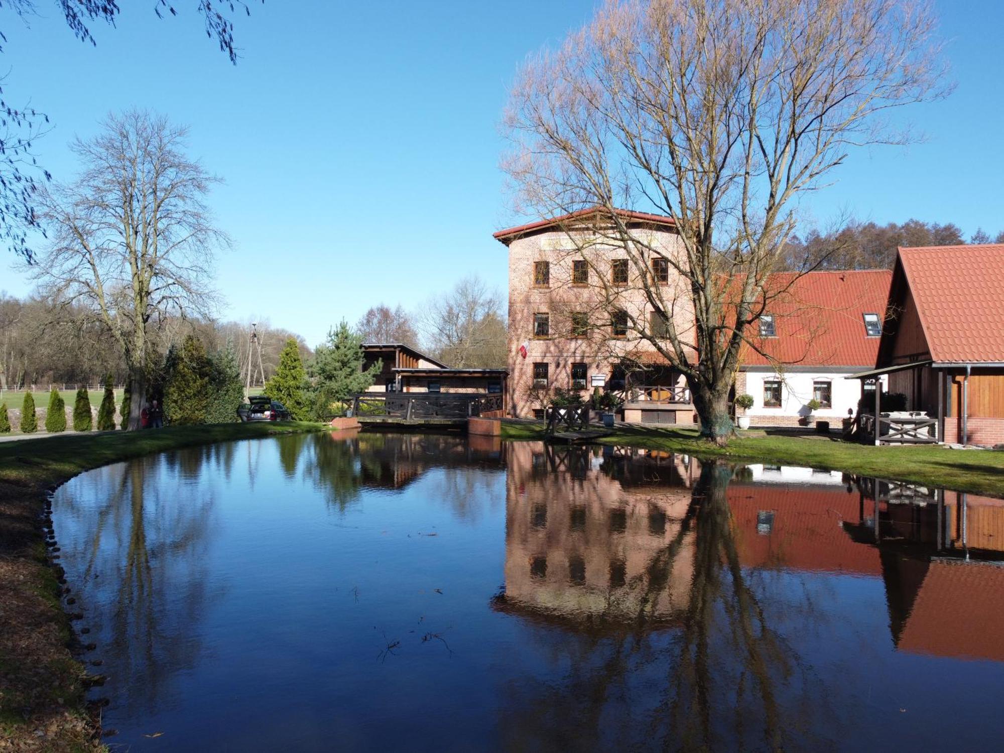 Stary Mlyn W Brzeznicy Villa Brzeznica  Exterior photo