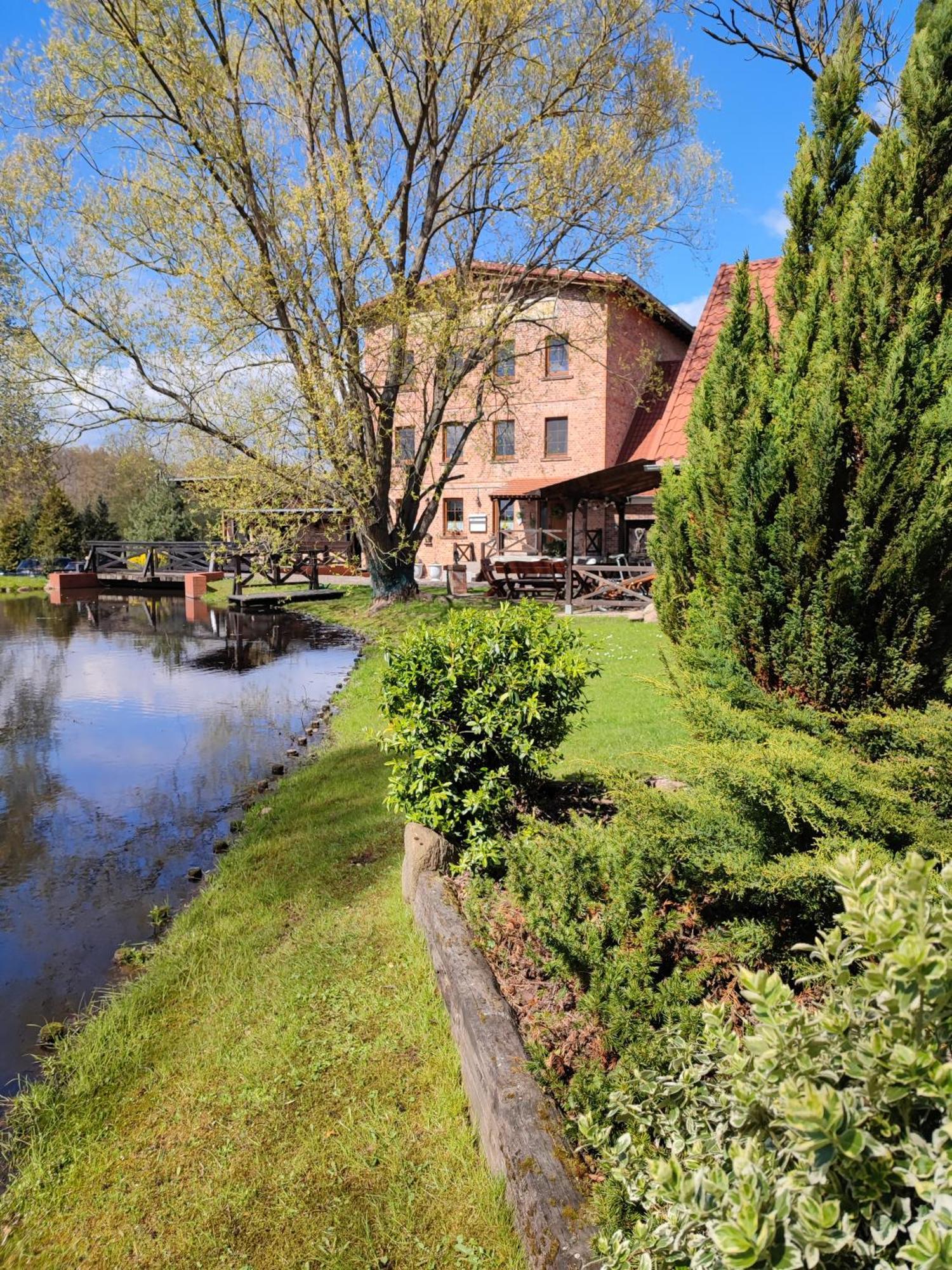 Stary Mlyn W Brzeznicy Villa Brzeznica  Exterior photo